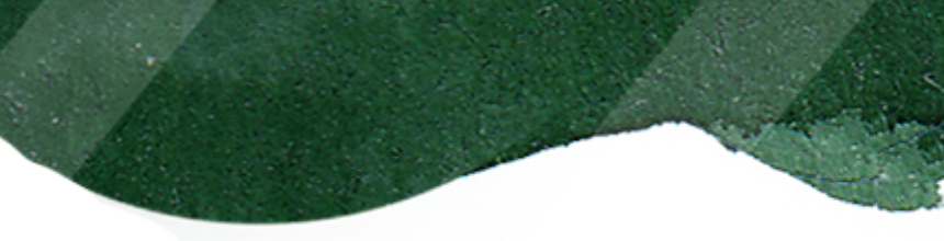 green texture image
